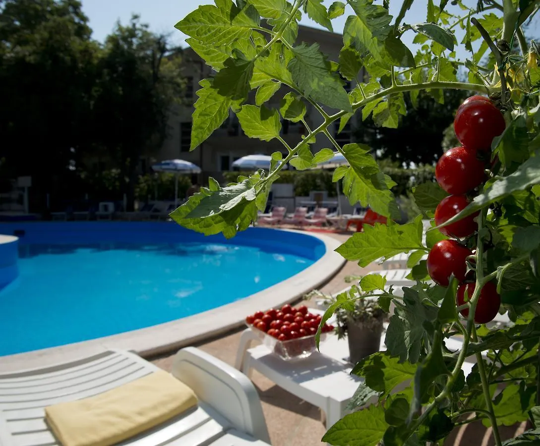 Hotel Trafalgar Rimini